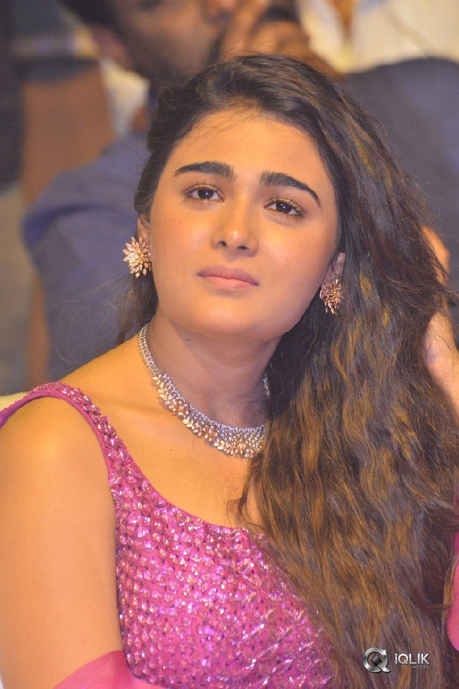 118-Movie-Pre-Release-Event-Photos